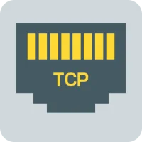TCP Client